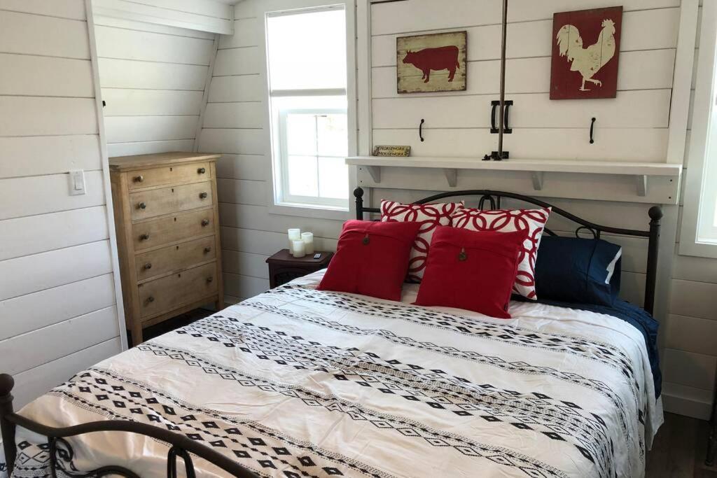Amazing Loft On Horse Ranch Lejlighed Pilot Hill Eksteriør billede